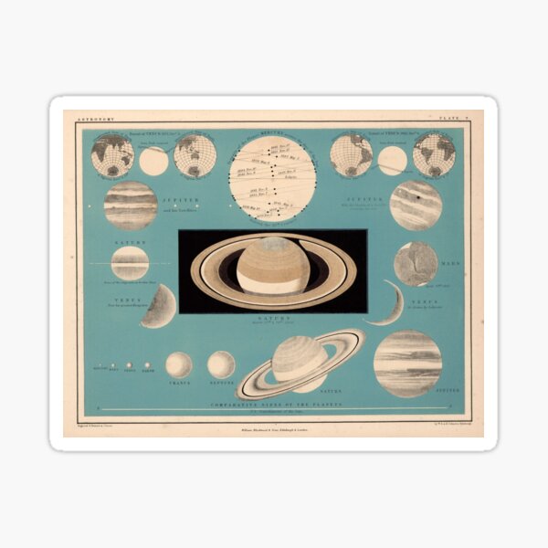 "Vintage Size Comparison Chart (1869)" Sticker by