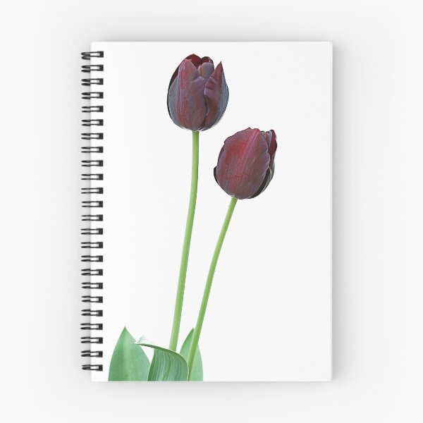 Item preview, Tall, Dark & ... designed and sold by cdwork.