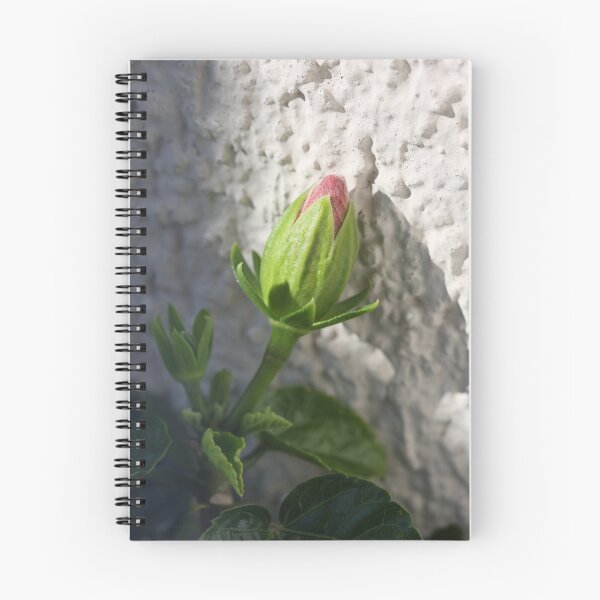 Item preview, Take me to the Light designed and sold by SmoothBreeze7 | Liz Collet Photography.