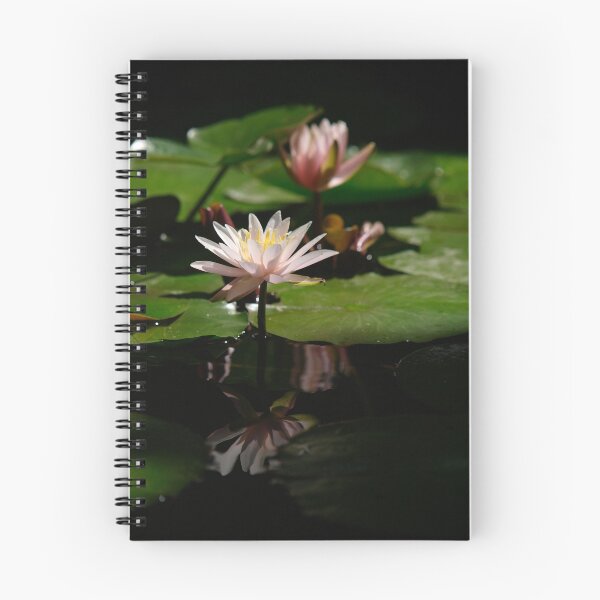 Artikelvorschau, Water Lillies entworfen und verkauft von Jimson Carr.