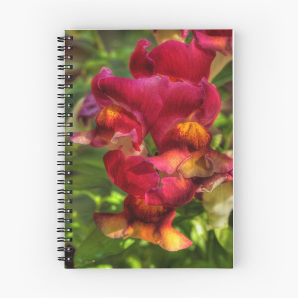 Item preview, Snapdragons designed and sold by margotk.