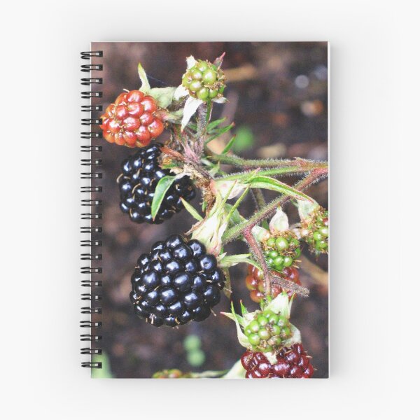 Item preview, Scrumptious! designed and sold by jacqi.