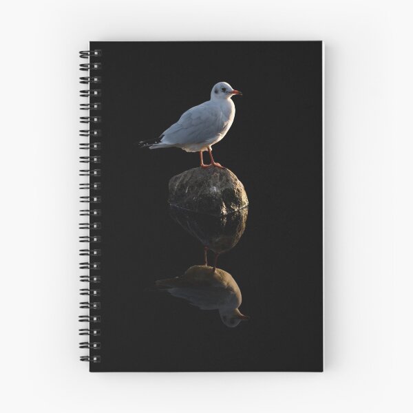 Item preview, The Lone Gull designed and sold by Stephen  Smith.