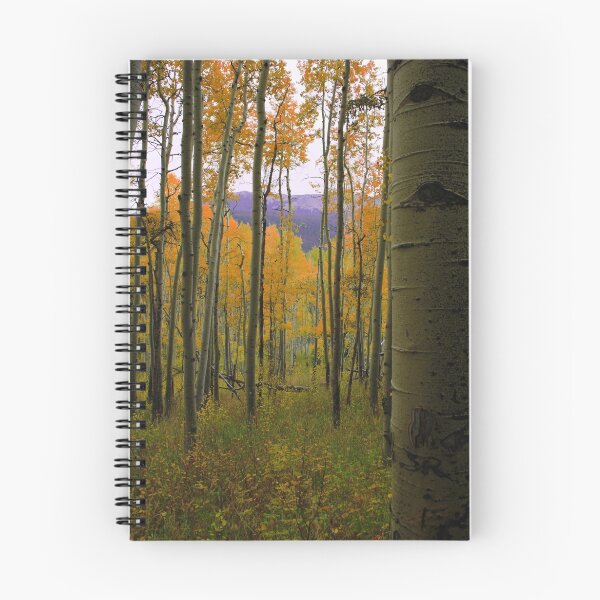 Aperçu de l'œuvre Silverthorne Colorado créée et vendue par Craig Forhan.