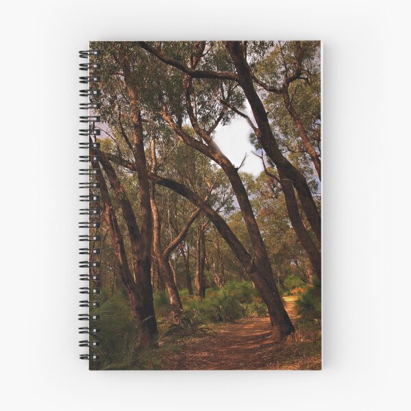 Item preview, Bush walk trail designed and sold by georgieboy98.