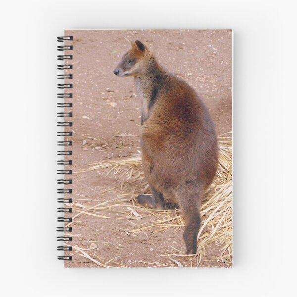 Item preview, Swamp Wallaby designed and sold by Clive.