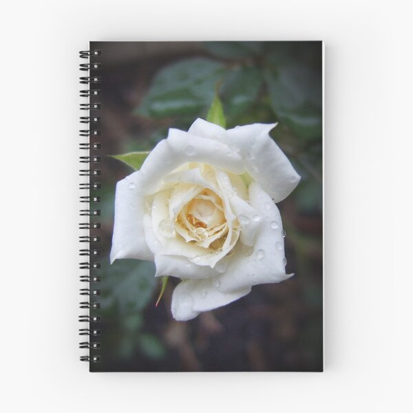 Item preview, RAINDROPS KEEP FALLING ... designed and sold by mlynnd.