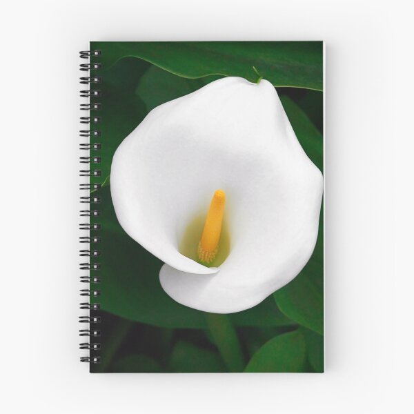 Item preview, White Calla Lily  designed and sold by A Till.