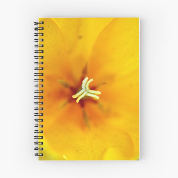 Item preview, Tesselaar Tulip Festival  designed and sold by Carine  Boustany.
