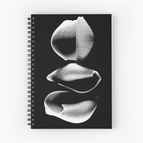 Item preview, Shell designed and sold by Daniel Sorine.