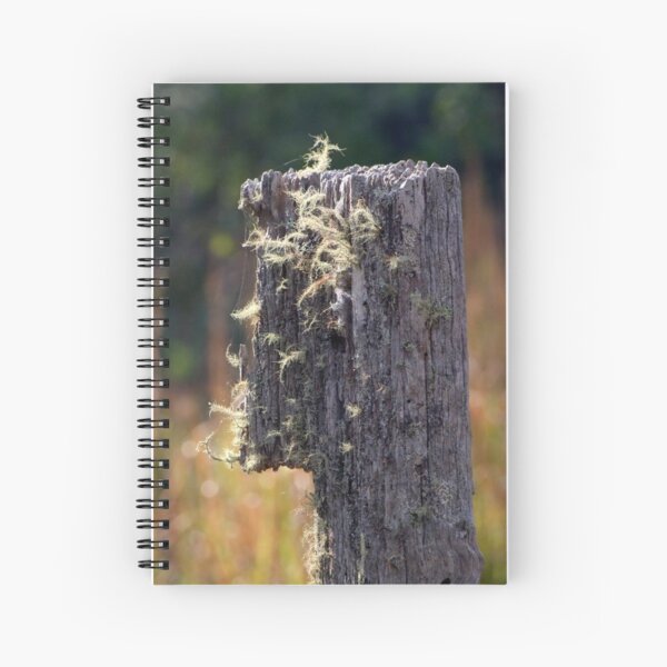 Abandoned Fencepost Spiral Notebook