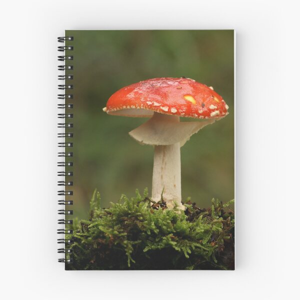 Artikelvorschau, Fly Agaric entworfen und verkauft von godders.