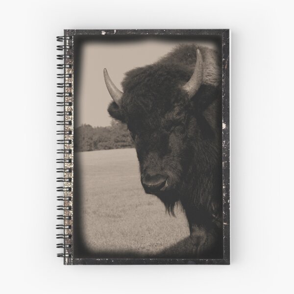 Item preview, Bison 1885 designed and sold by Michael McCasland.