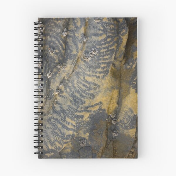Item preview, Limpet Tracks Abstract designed and sold by kernuak.