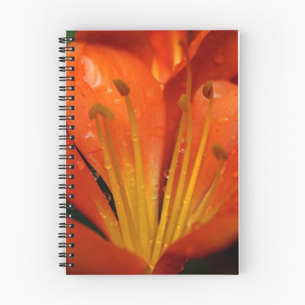 Item preview, Clivia Rain Drops designed and sold by Bev Woodman.