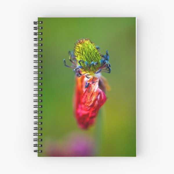 Item preview, Encounter of the strange kind designed and sold by David Platt-Chance.