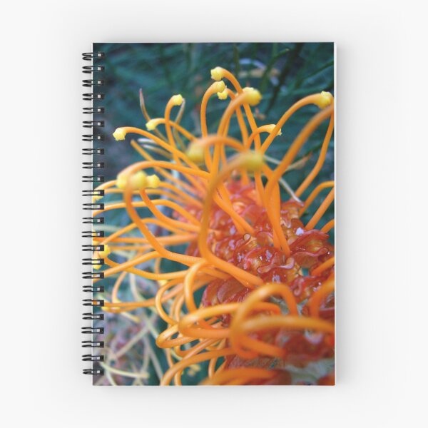 Item preview, Brilliance designed and sold by Kathie Nichols.