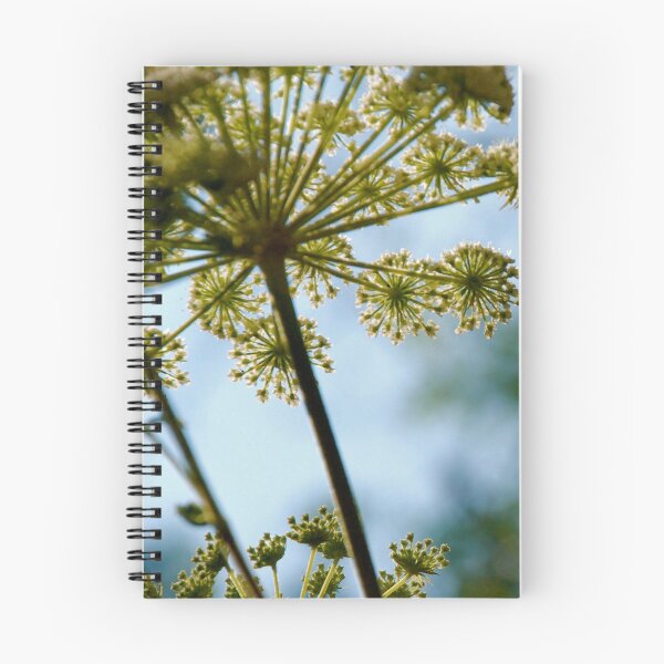 Item preview, Queen Ann's Lace designed and sold by Kelly Brooks.
