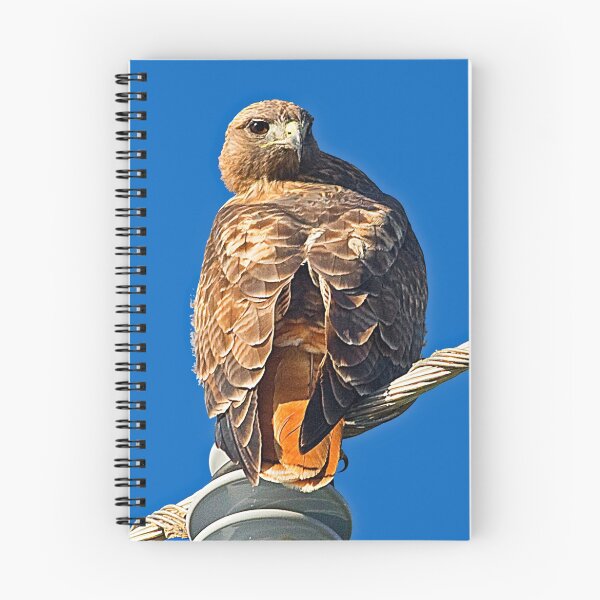 Item preview, Red Tailed Hawk designed and sold by Marvin Collins.