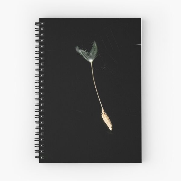 Item preview, Object in space designed and sold by Steve  Woodman.
