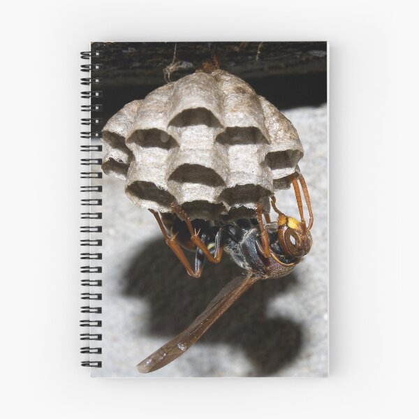 Item preview, Houseproud 2 designed and sold by Steve Woodman.