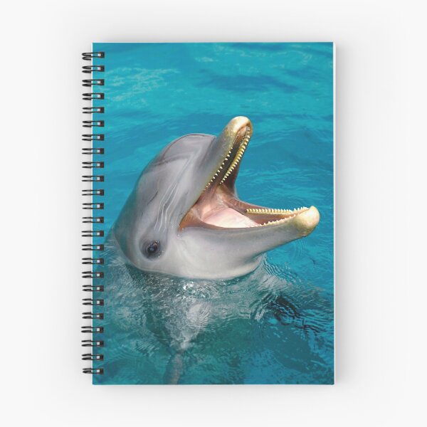 Item preview, Dolphin smile designed and sold by Carlos Villoch.