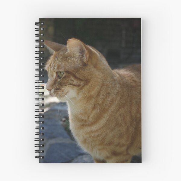 Item preview, Kitty-Cat designed and sold by Rebecca Leonard.