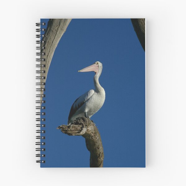 Item preview, Pelican Portraiture designed and sold by Michael Humphrys.