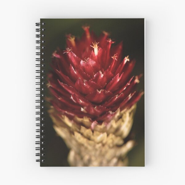 Item preview, Sharp flower, red love designed and sold by John Adulcikas.