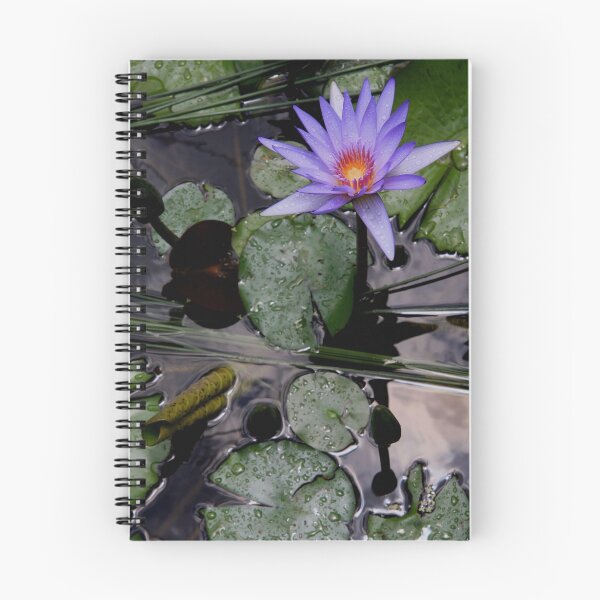 Artikelvorschau, Single Waterlily entworfen und verkauft von Coriena.