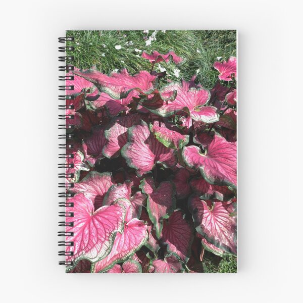 Item preview, Field of Caladiums designed and sold by 2CrabbySisters.