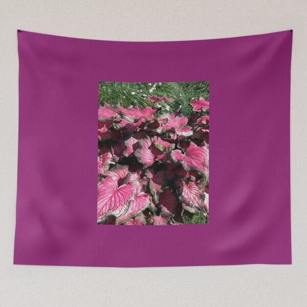 Item preview, Field of Caladiums designed and sold by 2CrabbySisters.