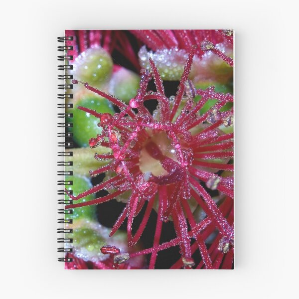Item preview, Bottle brush dew designed and sold by Steve  Woodman.