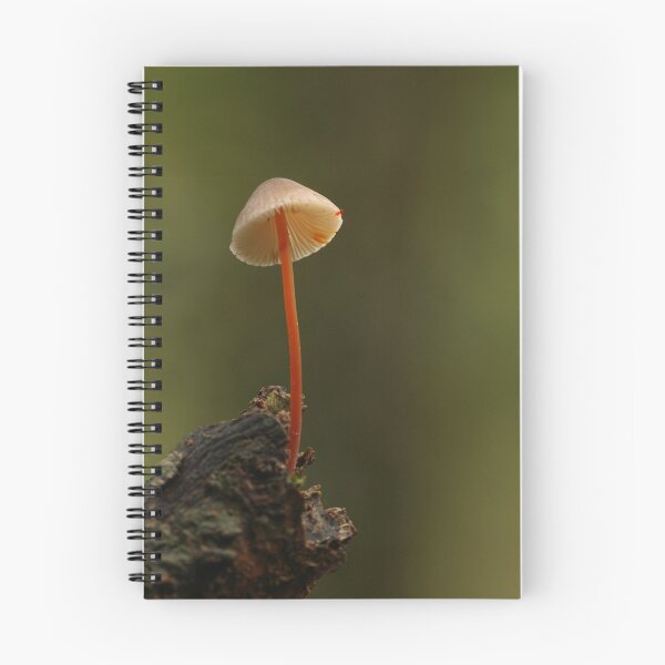 Item preview,  encontrado entre los restos de hojas en Theydon Woods designed and sold by godders.