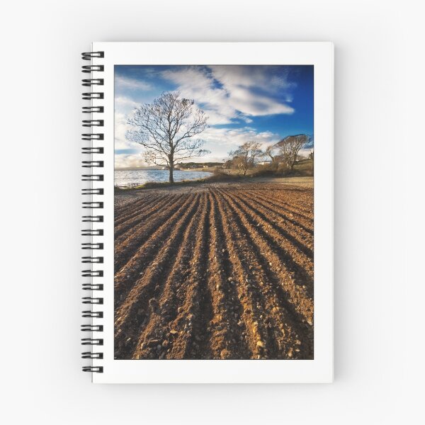 Item preview, Ploughed field on Strangford shores designed and sold by jimfrombangor.