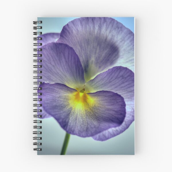 Item preview, Viola designed and sold by margotk.