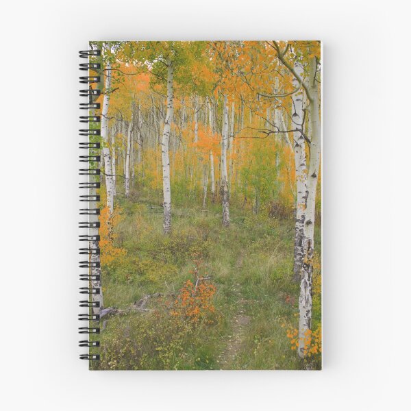 Item preview, Fall in Silverthorne designed and sold by Craig Forhan.