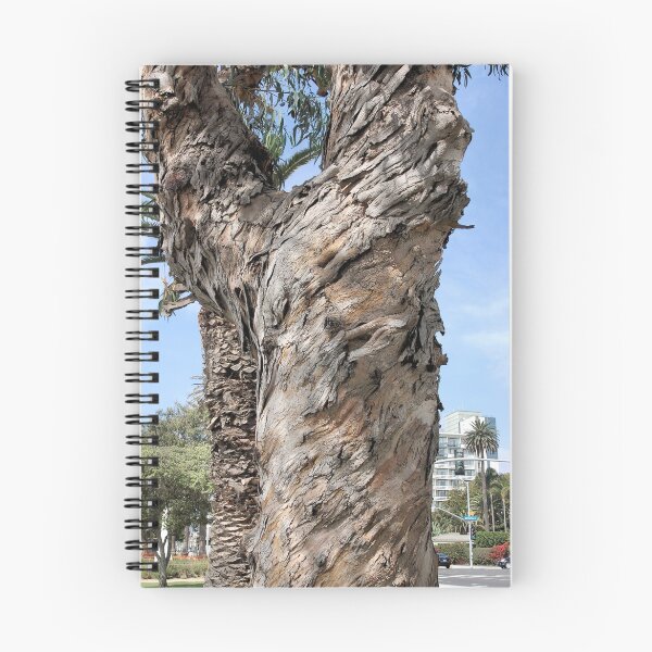Item preview, Santa Monica Eucalyptus designed and sold by Jawaher.