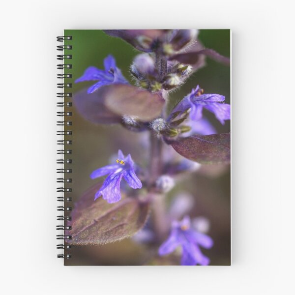 Item preview, Bugleweed designed and sold by Tammy Hale.