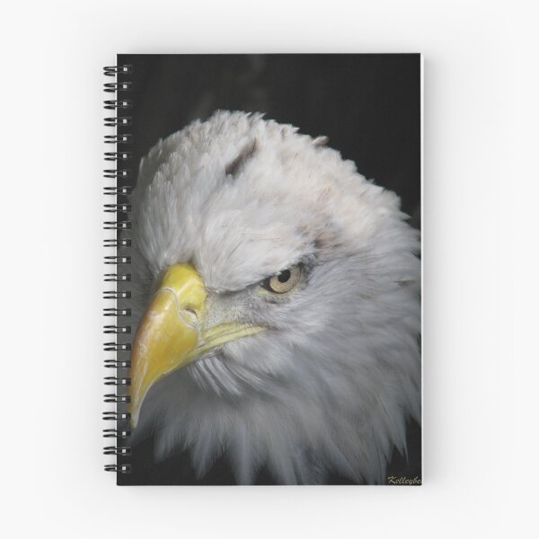 Item preview, Eagle Eye  designed and sold by kelleybear.