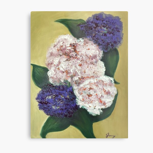 Hydrangeas Contrasted Metal Print
