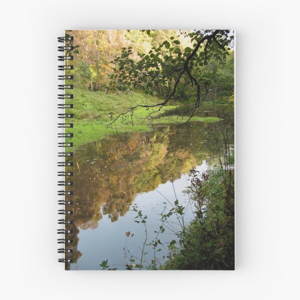 Item preview, The Fairy Glen designed and sold by jacqi.