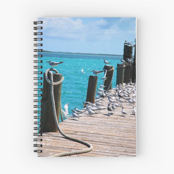 Item preview, Bird Paradise designed and sold by Kevin D. Raney.