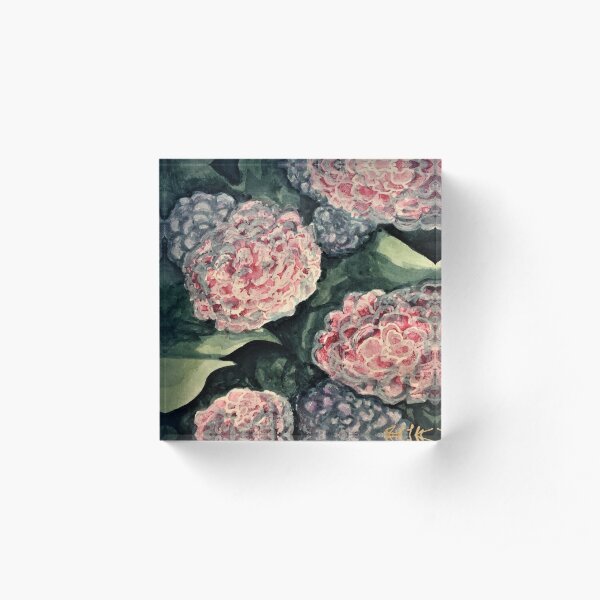 Hydrangeas in Light Acrylic Block