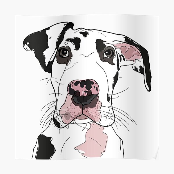 Great Dane b/w/pink dog Poster