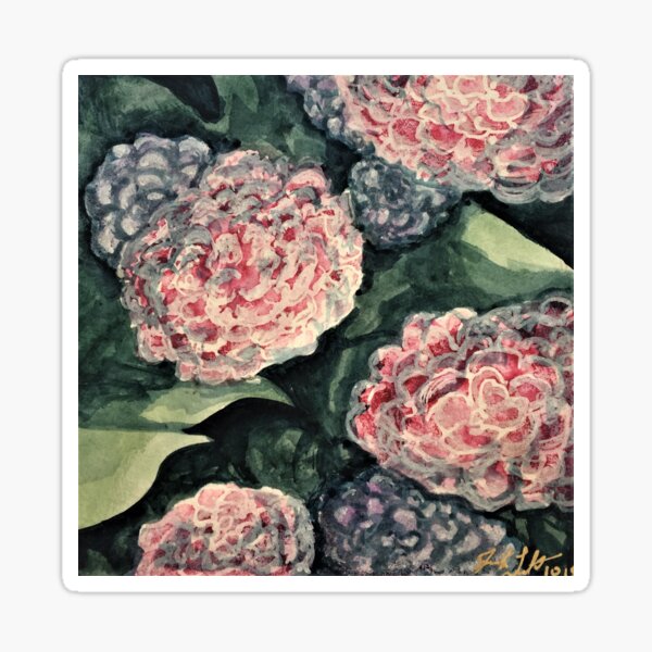 Hydrangeas in Light Sticker