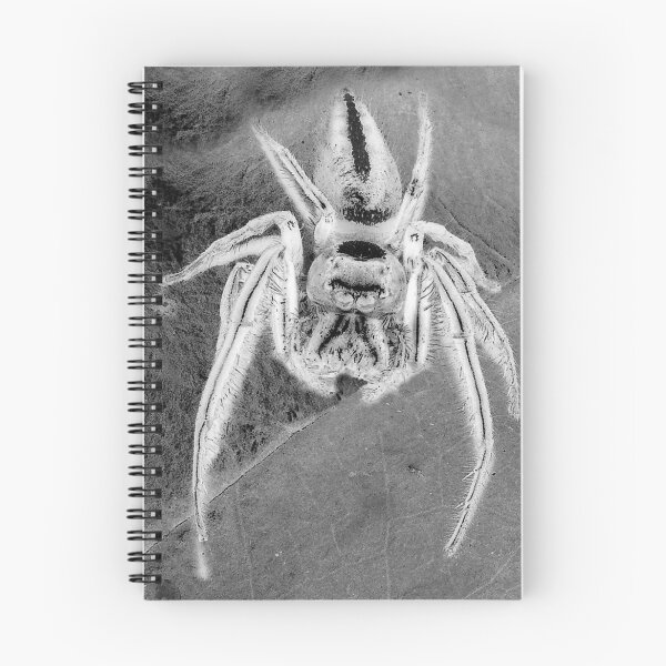 Item preview, Jumping spider designed and sold by Steve  Woodman.