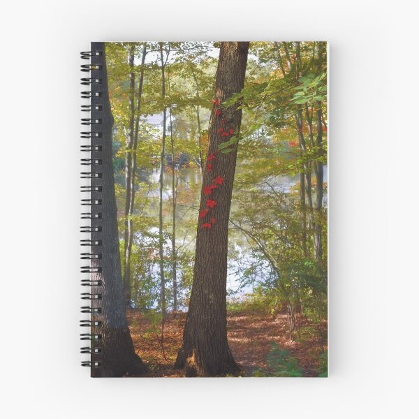 Item preview, Some red leaves designed and sold by LudaNayvelt.