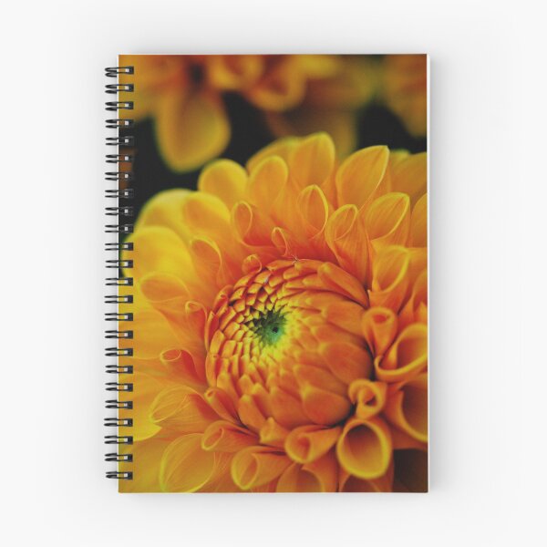 Item preview, Mornings designed and sold by Flowers.