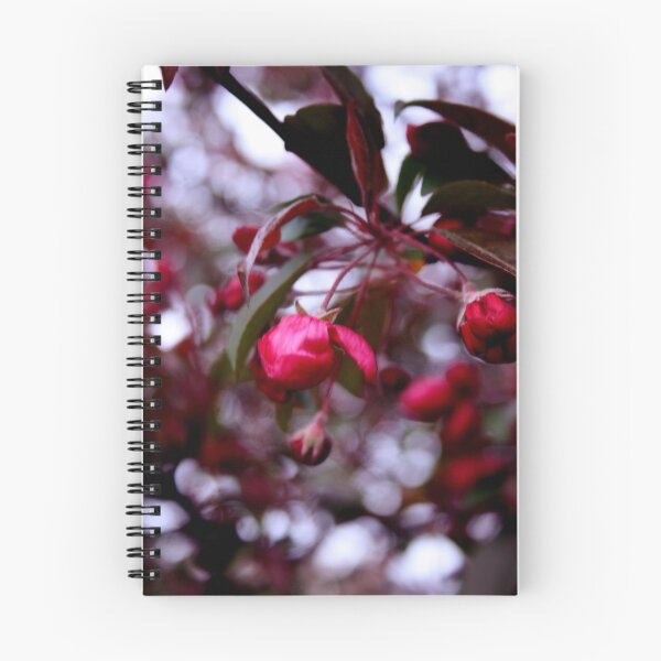 Item preview, Bokeh designed and sold by pange.